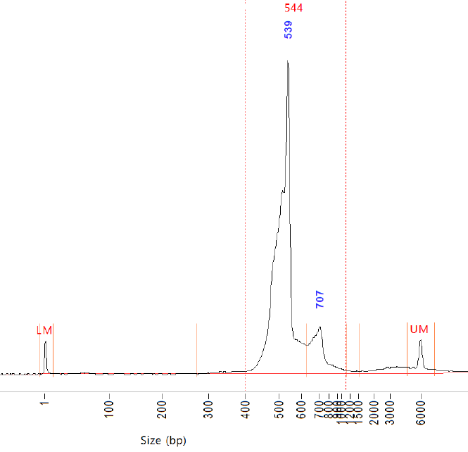 LJ-Gradients sequence pool trace with a large 16S peak at 539 base pairs and a smaller 18S peak at 707 base pairs