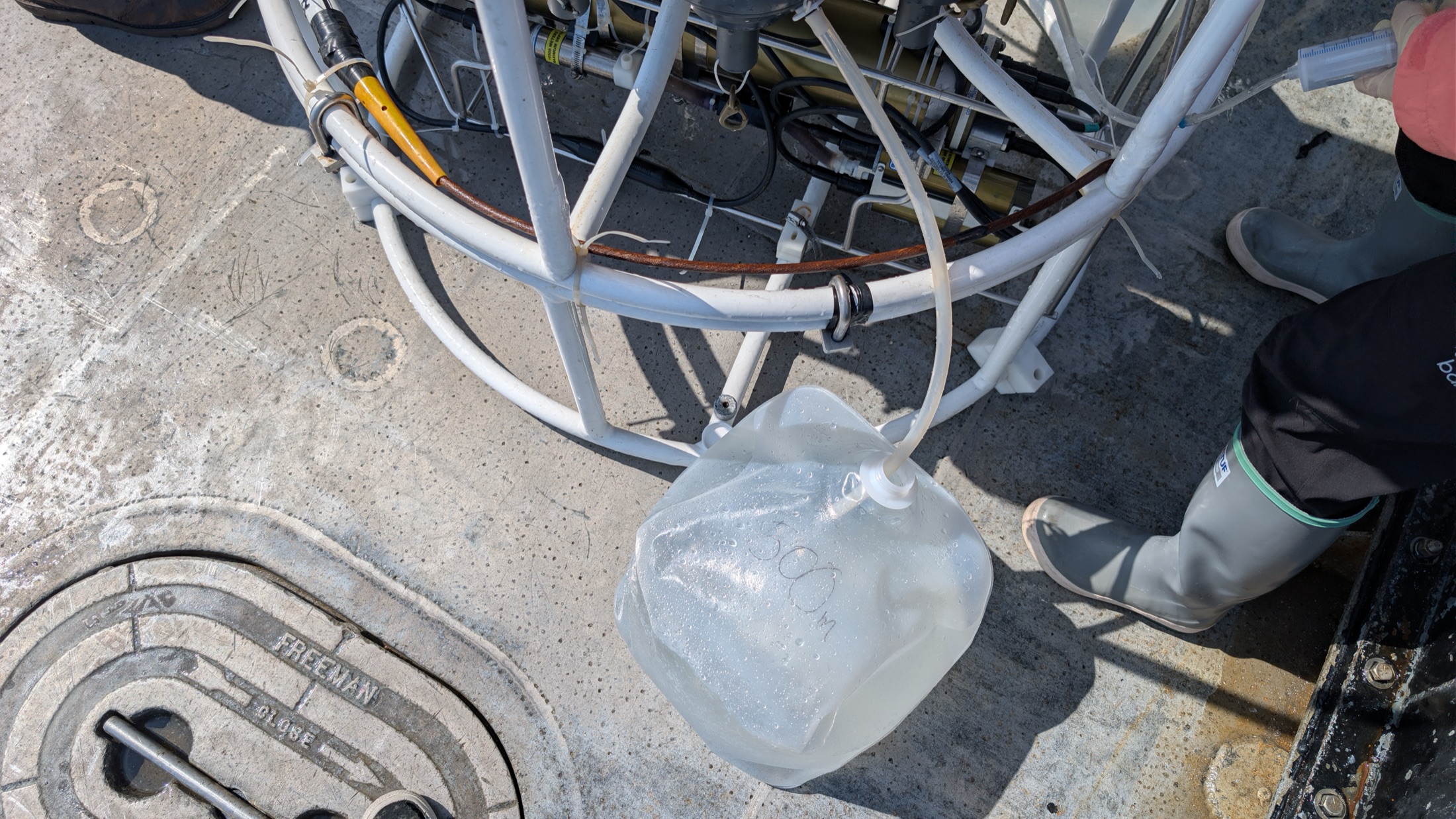 Collecting seawater from a CTD rosette on the deck of a research vessel